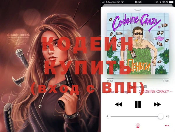 индика Армянск