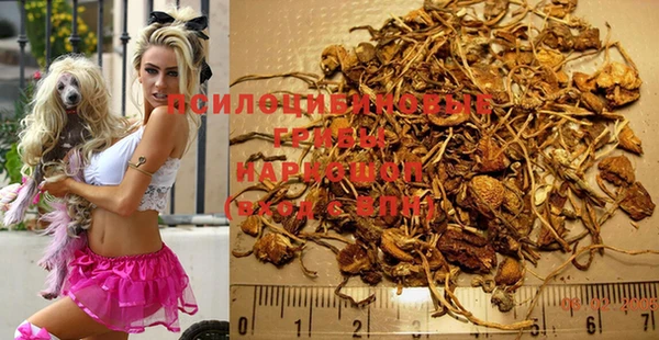 индика Армянск