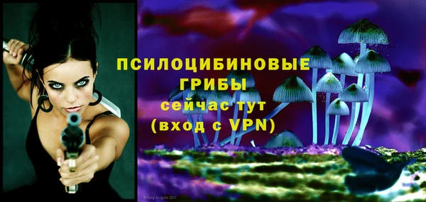 индика Армянск