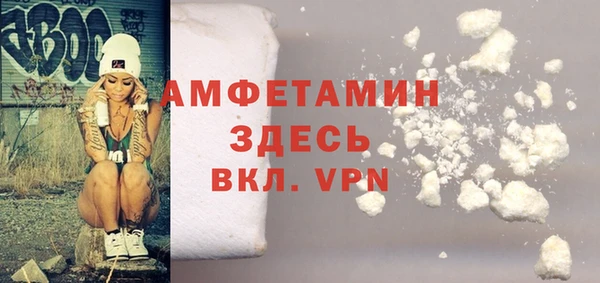 прущие грибы Аркадак