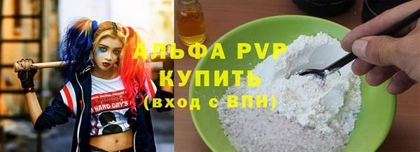 прущие грибы Аркадак